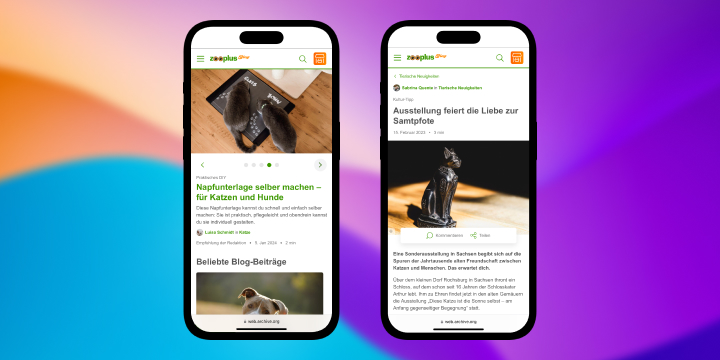 A colorful abstract background on which there are two iPhones displaying the zooplus magazine website.